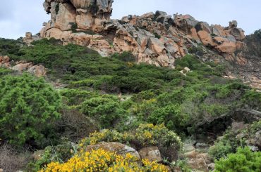 Lernen Sie mit Stress umzugehen und Resilienz aufzubauen